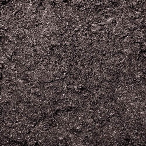 Compost - General Purpose