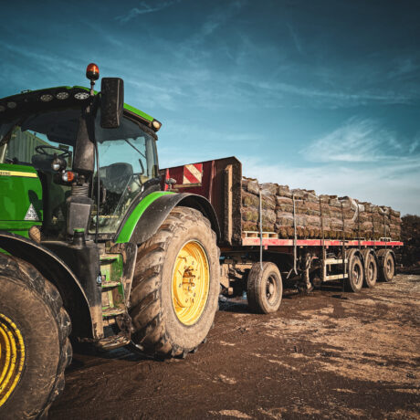 10_Turfworld Yard Feb 25