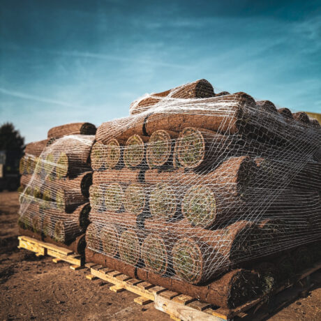 12_Turfworld Yard Feb 25