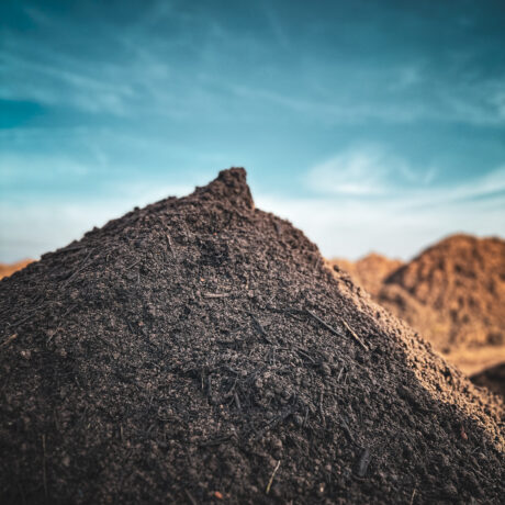 8_Turfworld Yard Feb 25