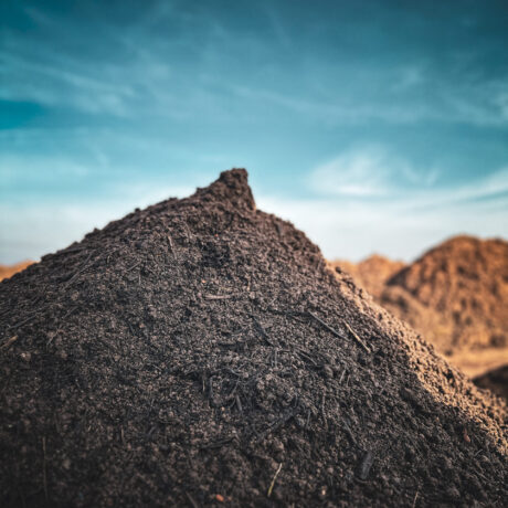 8_Turfworld Yard Feb 25