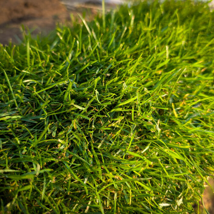 PXL_20251113_084535105.RAW-01.COVER