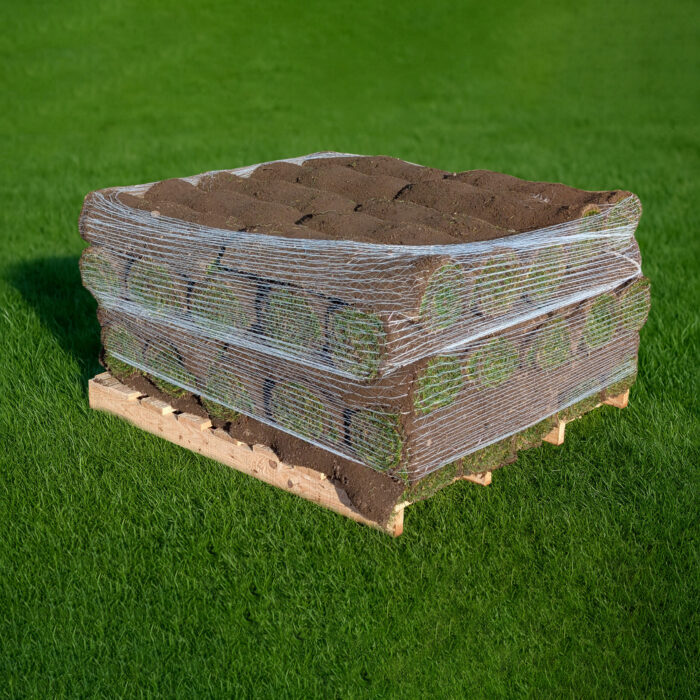 PXL_20251113_134323206.RAW-01