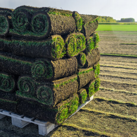 A stack of vibrant green turf rolls, freshly prepared, is now ready for various landscaping projects in the countryside