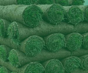 turf-turfworld-turf-roll-buy-turf-field-pallet-of-turf